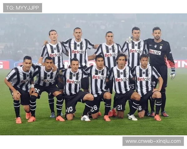 球迷文化研究：意甲各俱乐部支持者群体特征与传统